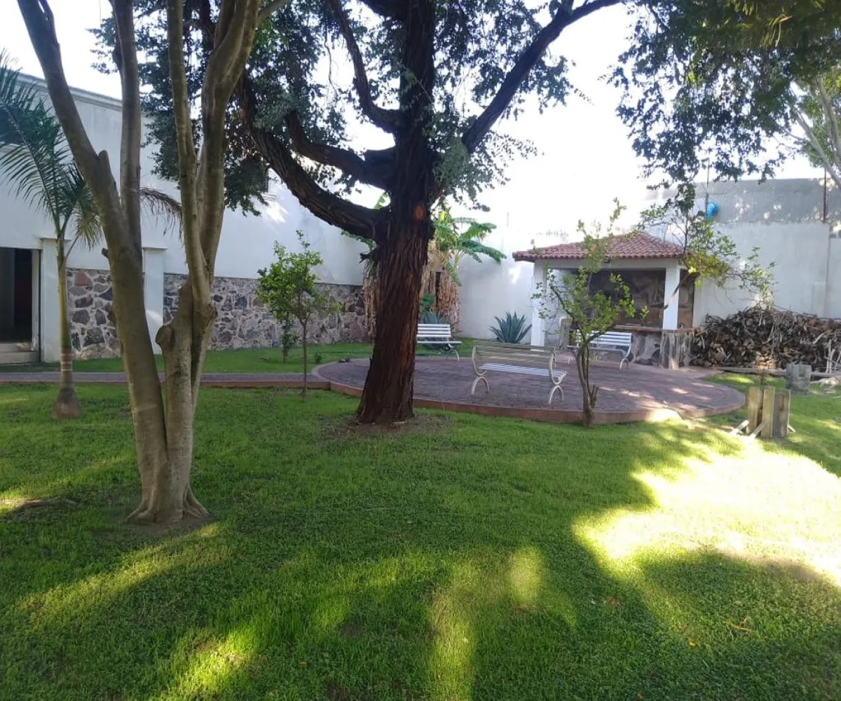 Casa En Renta,Cortijo San Agustin,Los Toronjos 440, Tlajomulco de Zúñiga, Jalisco 45645, 4 Habitaciones,4 Baños,Los Toronjos,1,pvjGQWD