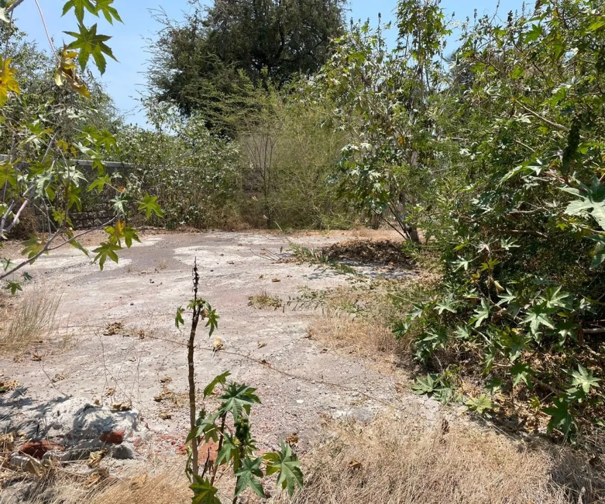 Terreno En Venta,INFONAVIT Las Huertas,Valentin Gomez Farias 65, Tecomán, Colima 28140,Valentin Gomez Farias,phbE50W