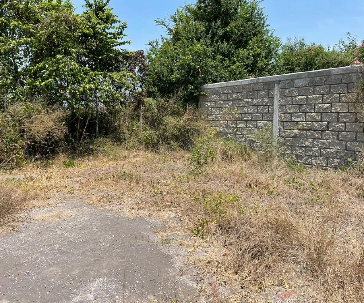 Terreno En Venta,INFONAVIT Las Huertas,Valentin Gomez Farias 65, Tecomán, Colima 28140,Valentin Gomez Farias,phbE50W