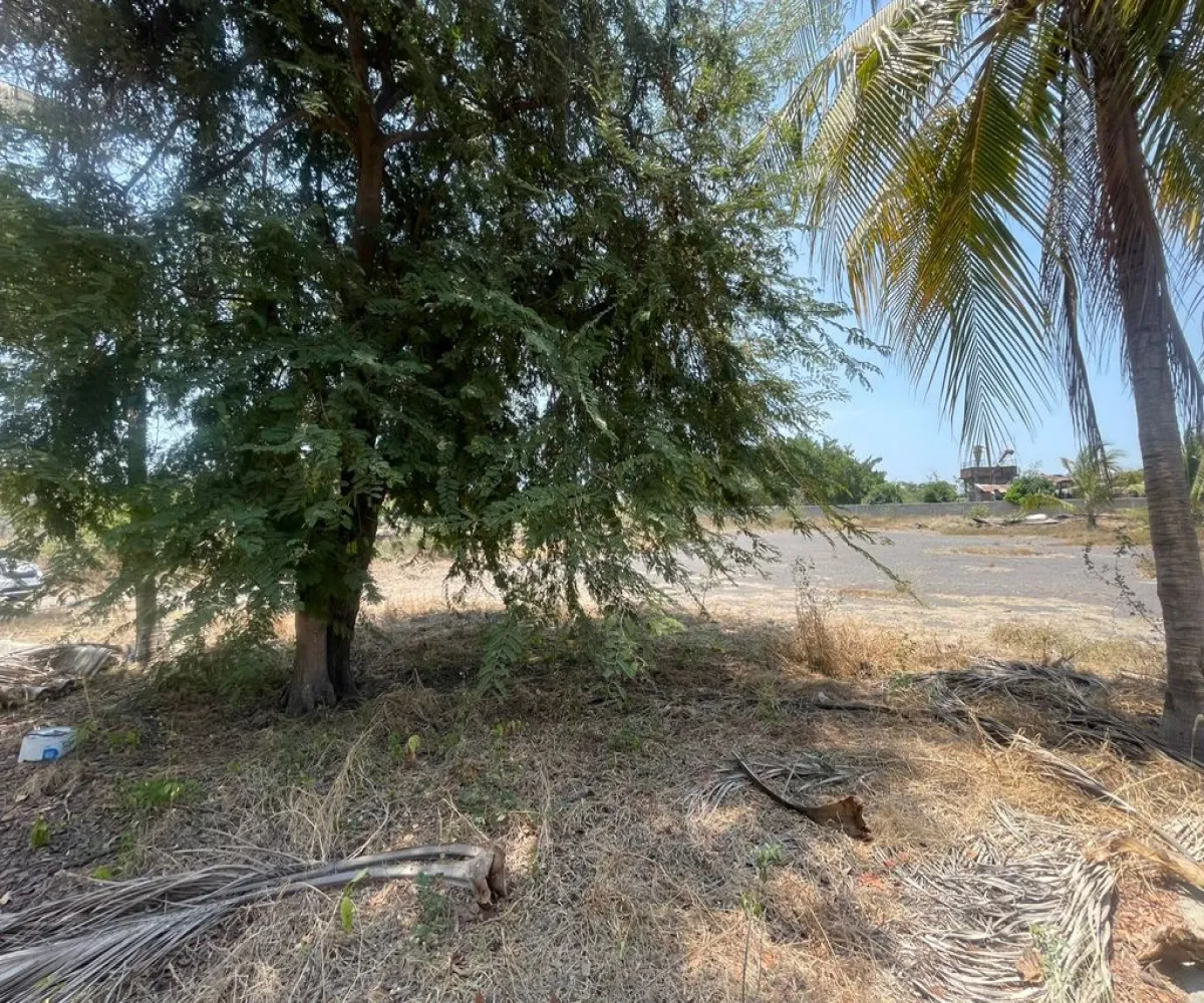 Terreno En Venta,INFONAVIT Las Huertas,Valentin Gomez Farias 65, Tecomán, Colima 28140,Valentin Gomez Farias,phbE50W