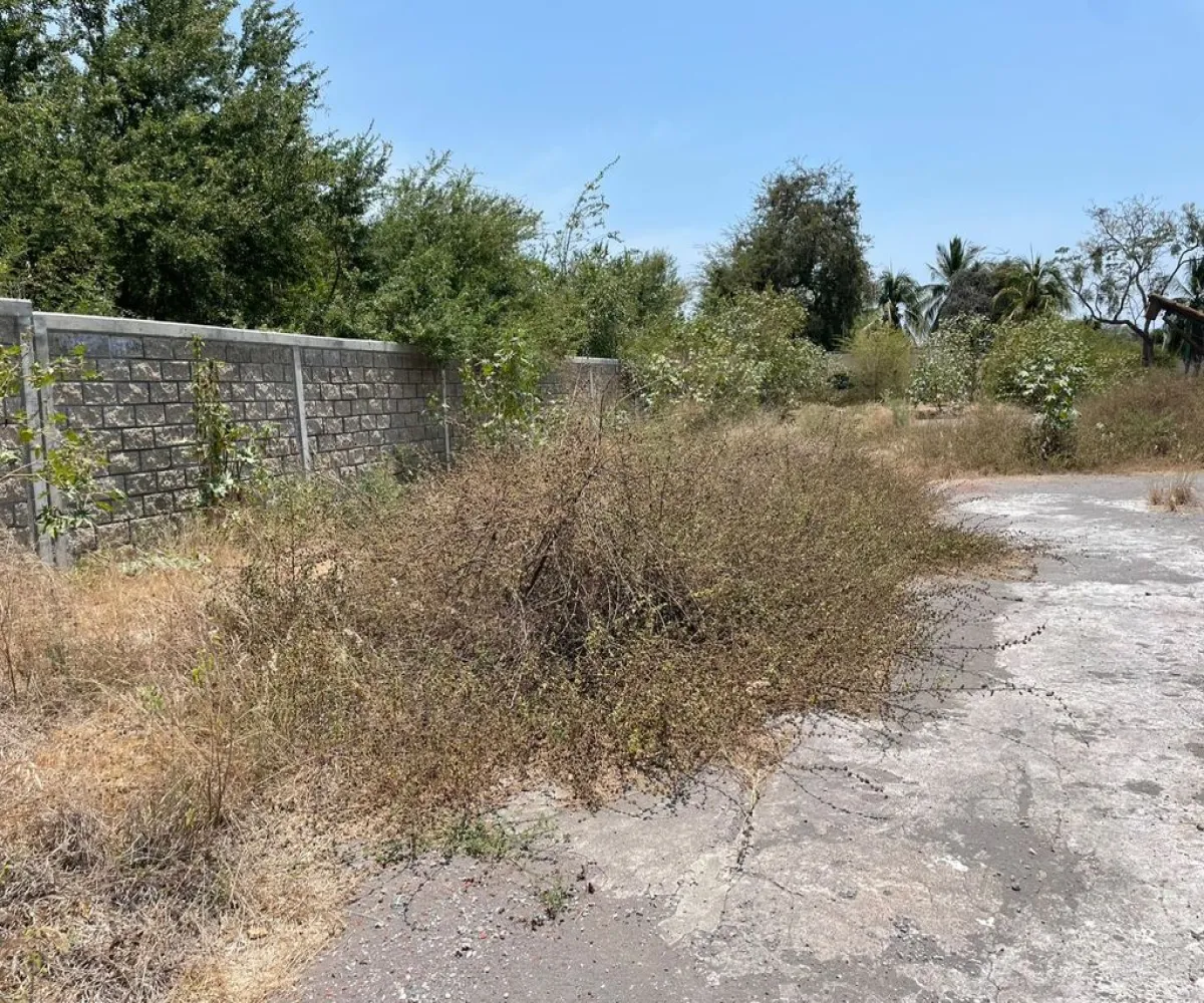 Terreno En Venta,INFONAVIT Las Huertas,Valentin Gomez Farias 65, Tecomán, Colima 28140,Valentin Gomez Farias,phbE50W