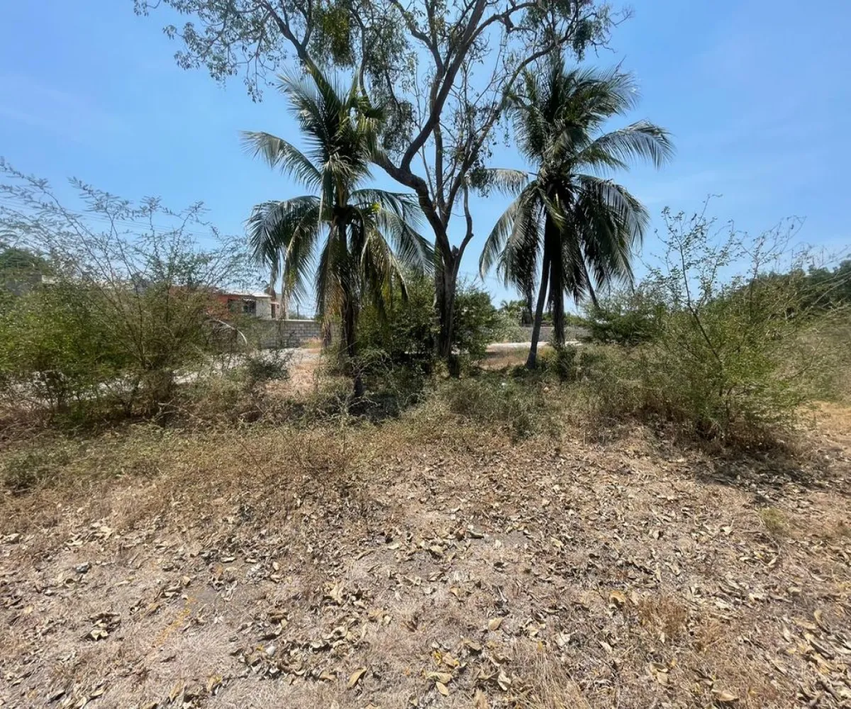 Terreno En Venta,INFONAVIT Las Huertas,Valentin Gomez Farias 65, Tecomán, Colima 28140,Valentin Gomez Farias,phbE50W