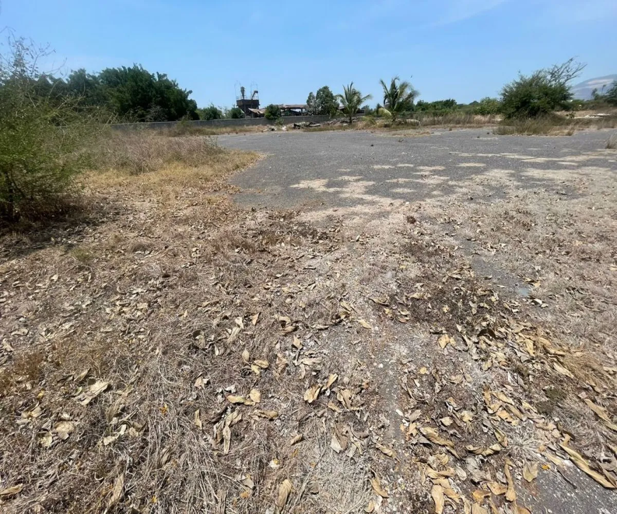 Terreno En Venta,INFONAVIT Las Huertas,Valentin Gomez Farias 65, Tecomán, Colima 28140,Valentin Gomez Farias,phbE50W