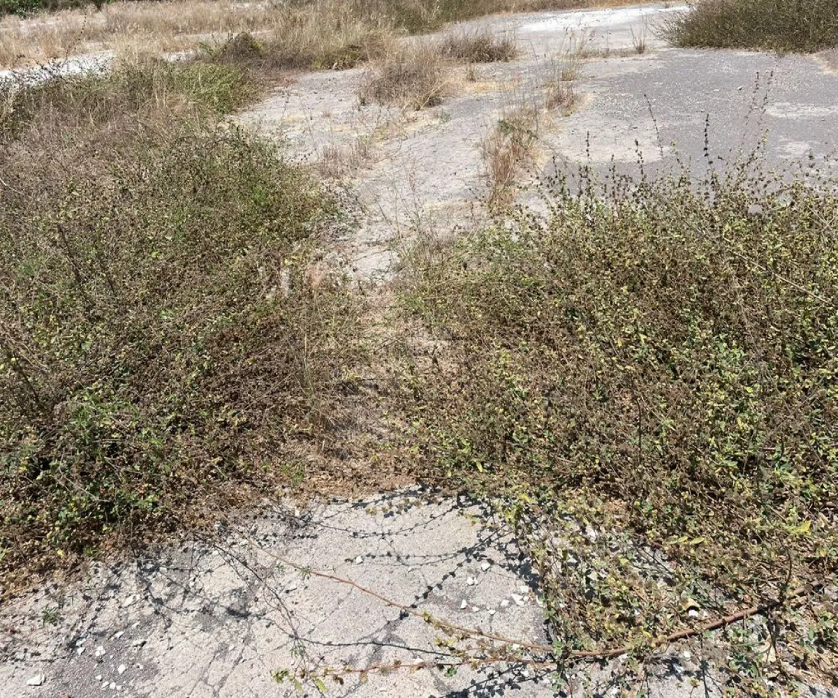 Terreno En Venta,INFONAVIT Las Huertas,Valentin Gomez Farias 65, Tecomán, Colima 28140,Valentin Gomez Farias,phbE50W
