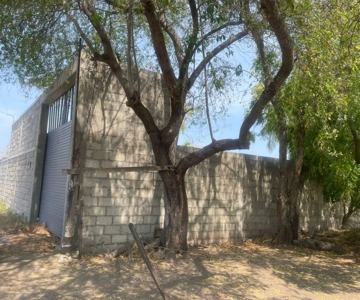 Terreno En Venta,INFONAVIT Las Huertas,Valentin Gomez Farias 65, Tecomán, Colima 28140,Valentin Gomez Farias,phbE50W