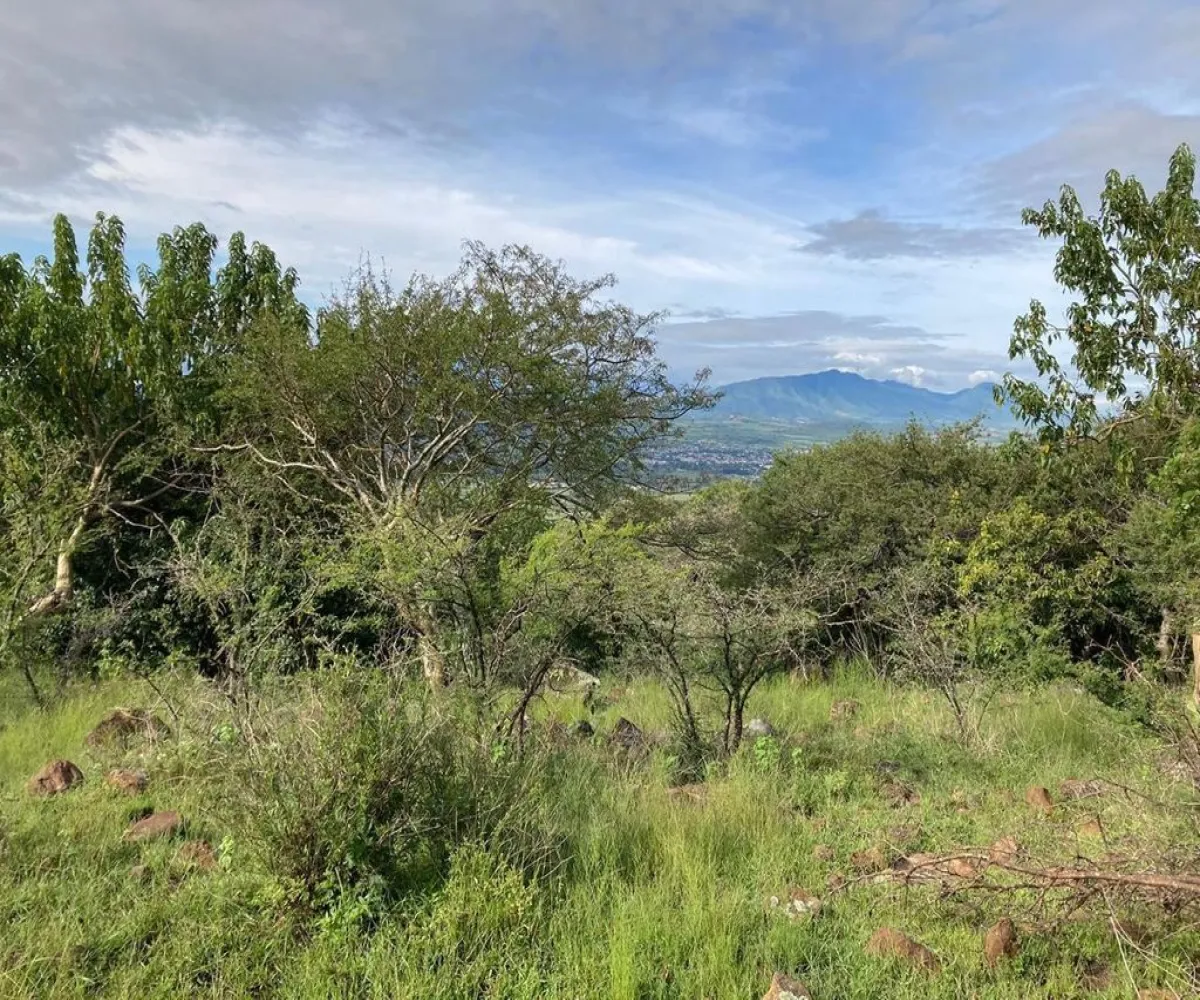 Terreno En Venta,Miraflores,Camino De La Palma S/N, Juanacatlán, Jalisco 45890,Camino De La Palma ,poZhaY0