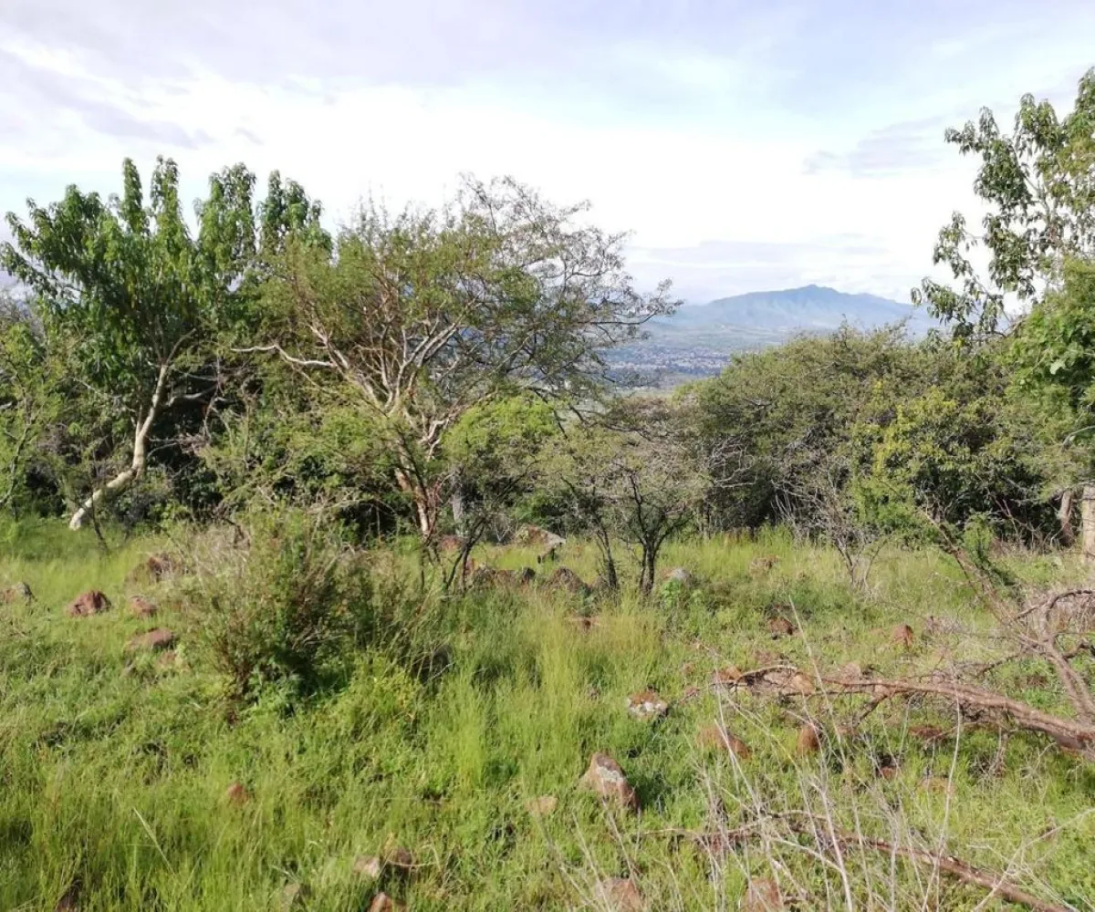 Terreno En Venta,Miraflores,Camino De La Palma S/N, Juanacatlán, Jalisco 45890,Camino De La Palma ,poZhaY0