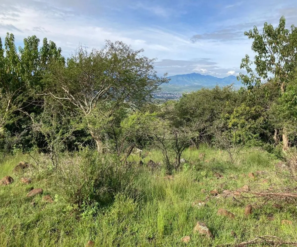 Terreno En Venta,Miraflores,Camino De La Palma S/N, Juanacatlán, Jalisco 45890,Camino De La Palma ,poZhaY0