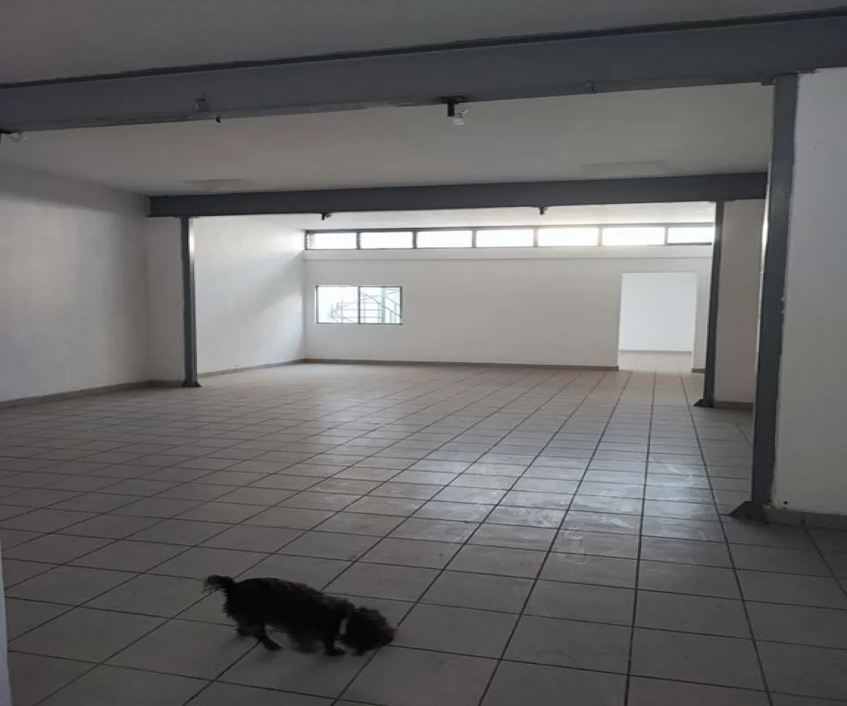 Edificio En Venta,Independencia Oriente,Avenida Circunvalación Doctor Atl 1581, Guadalajara, Jalisco 44340,3 Baños,Avenida Circunvalación Doctor Atl,3,pWjz7uQ