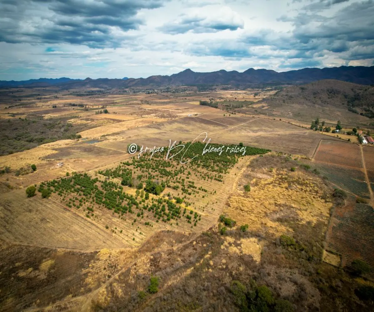 Terreno En Venta,Primavera S/N, Mixtlán, Jalisco 46850, 4 Habitaciones,1 Baño,Primavera,1,pzsIQlT
