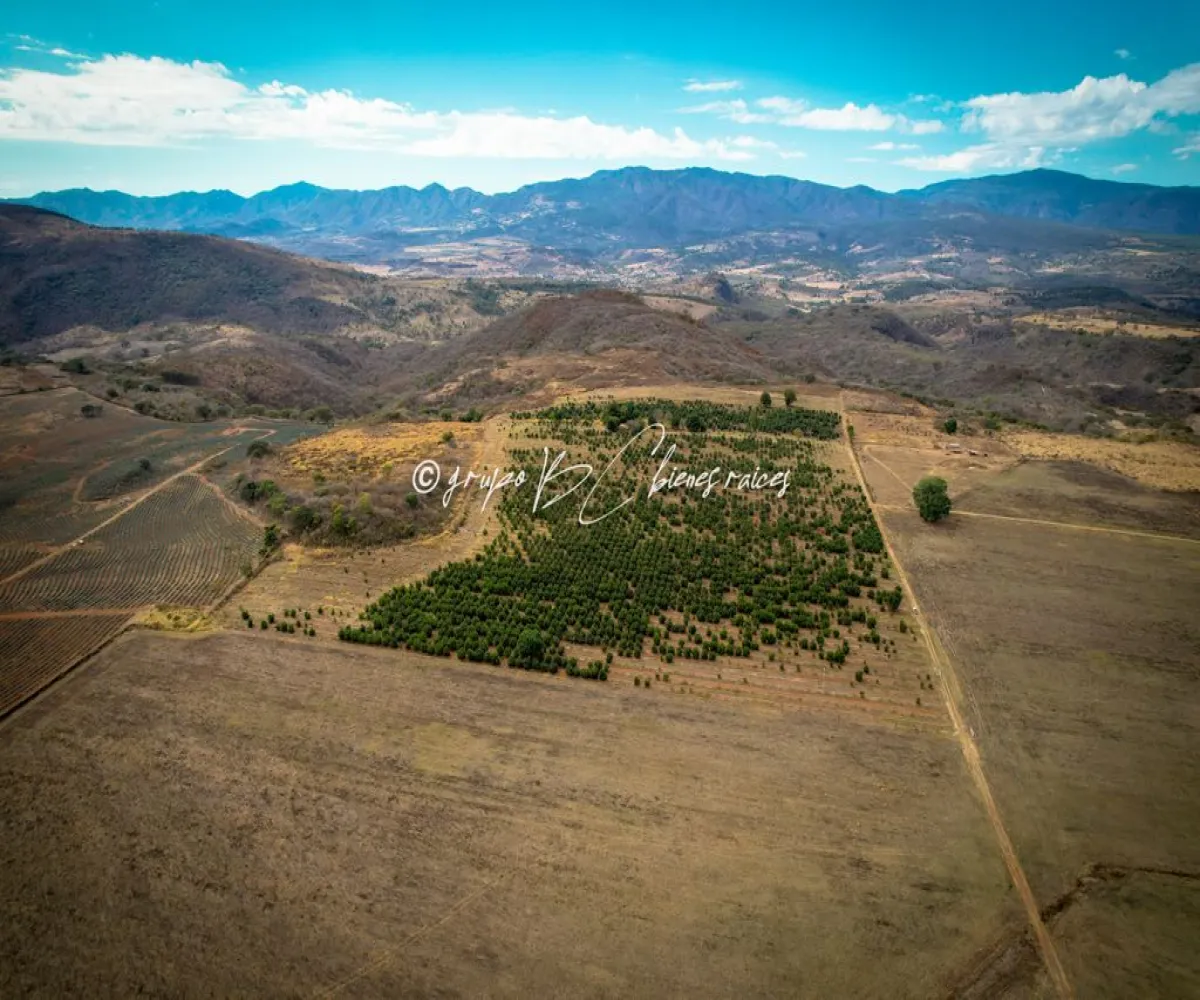 Terreno En Venta,Primavera S/N, Mixtlán, Jalisco 46850, 4 Habitaciones,1 Baño,Primavera,1,pzsIQlT