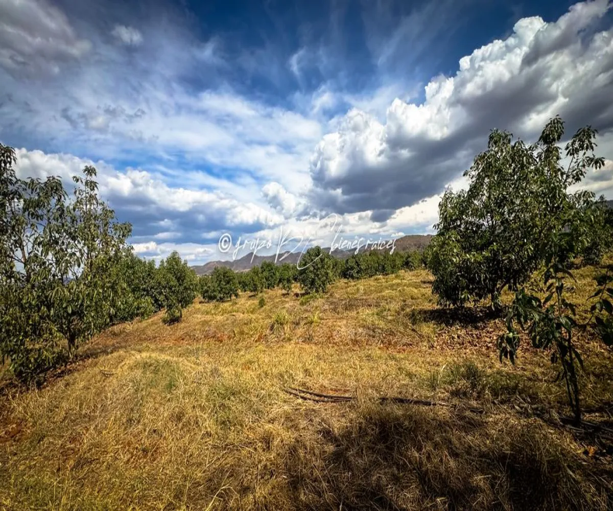 Terreno En Venta,Primavera S/N, Mixtlán, Jalisco 46850, 4 Habitaciones,1 Baño,Primavera,1,pzsIQlT