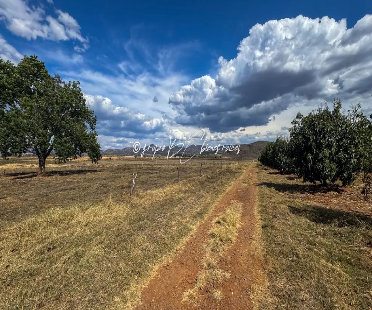 Terreno En Venta,Primavera S/N, Mixtlán, Jalisco 46850, 4 Habitaciones,1 Baño,Primavera,1,pzsIQlT