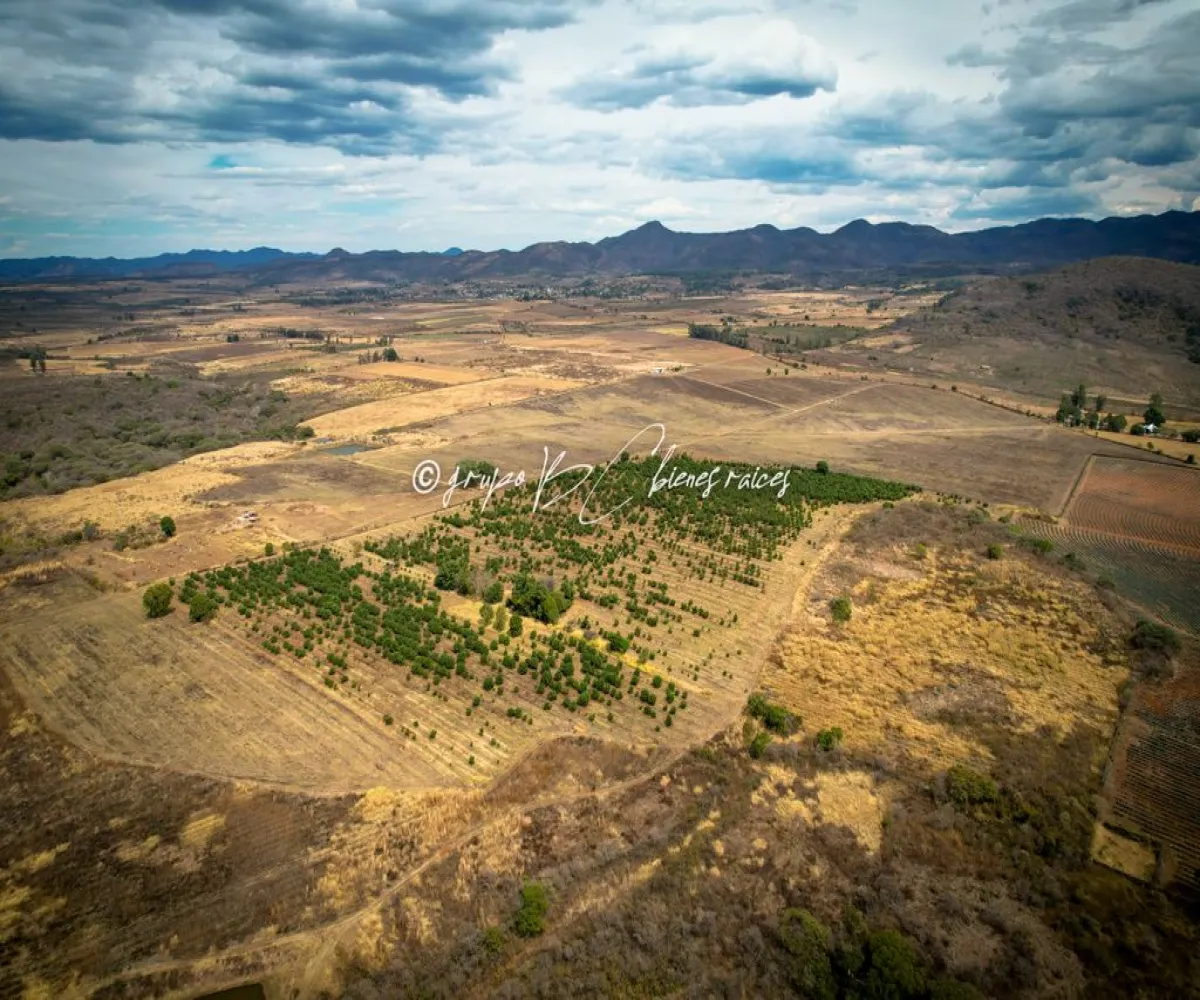 Terreno En Venta,Primavera S/N, Mixtlán, Jalisco 46850, 4 Habitaciones,1 Baño,Primavera,1,pzsIQlT