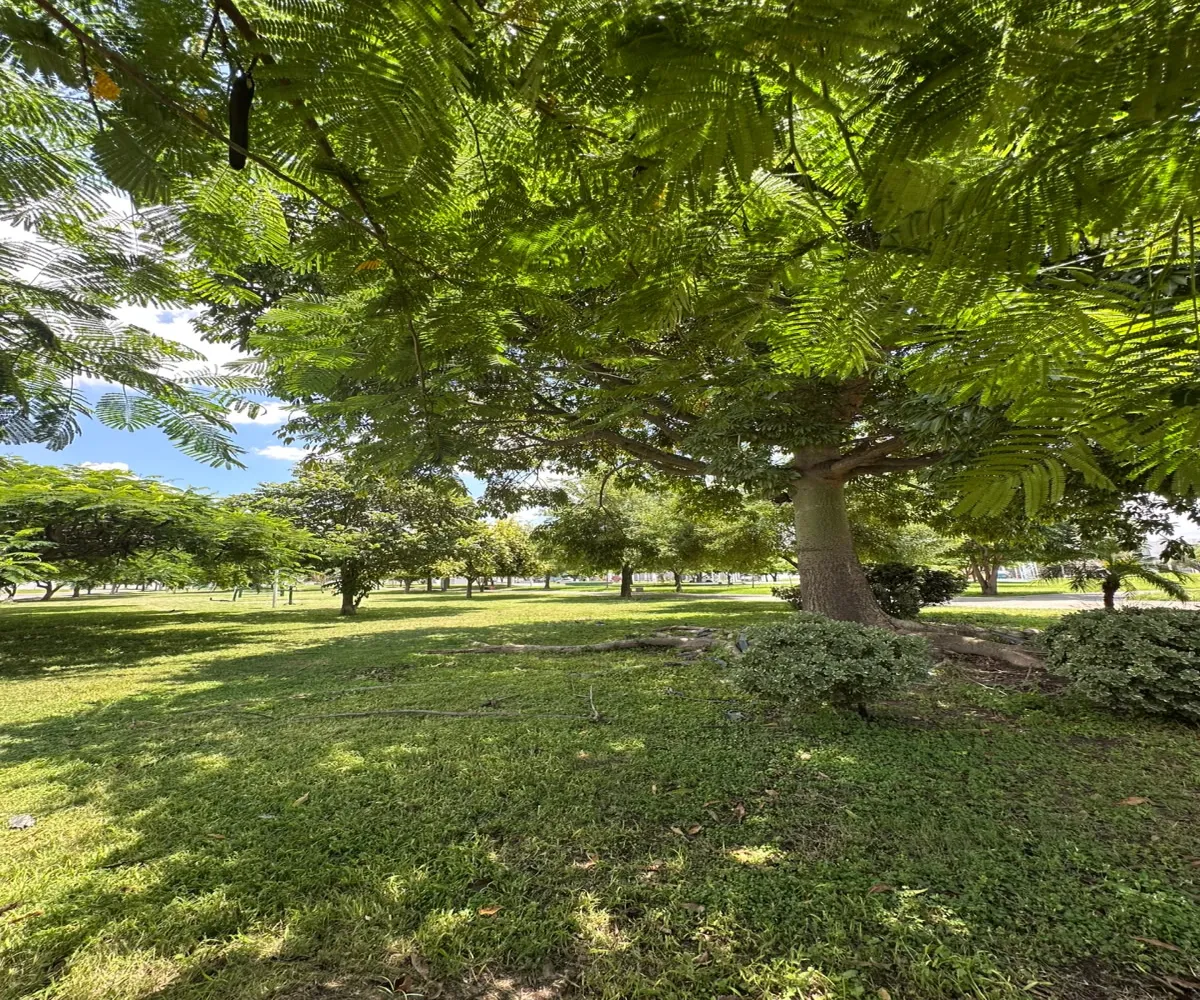 Casa En Renta,Av. Valle de San Mateo 70 8, Tlajomulco de Zúñiga, Jalisco, 3 Habitaciones,2 Baños,Coto Liquidambar,Av. Valle de San Mateo ,2,841063