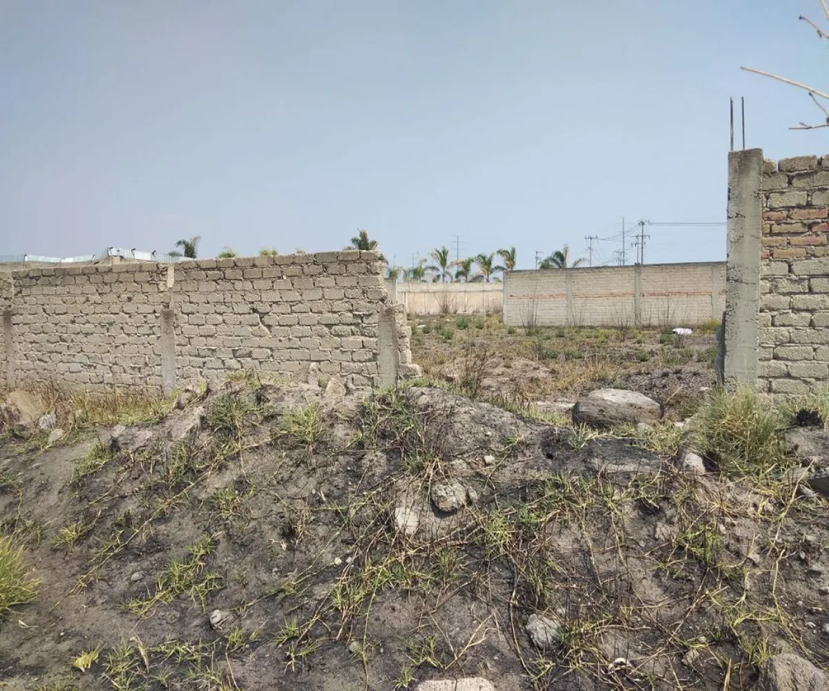 Terreno En Venta,Concepción del Valle,Fracción de la Parcela 22 P1/3 S/N, Tlajomulco de Zúñiga, Jalisco 45653,Fracción de la Parcela 22 P1/3,pmZvUEx