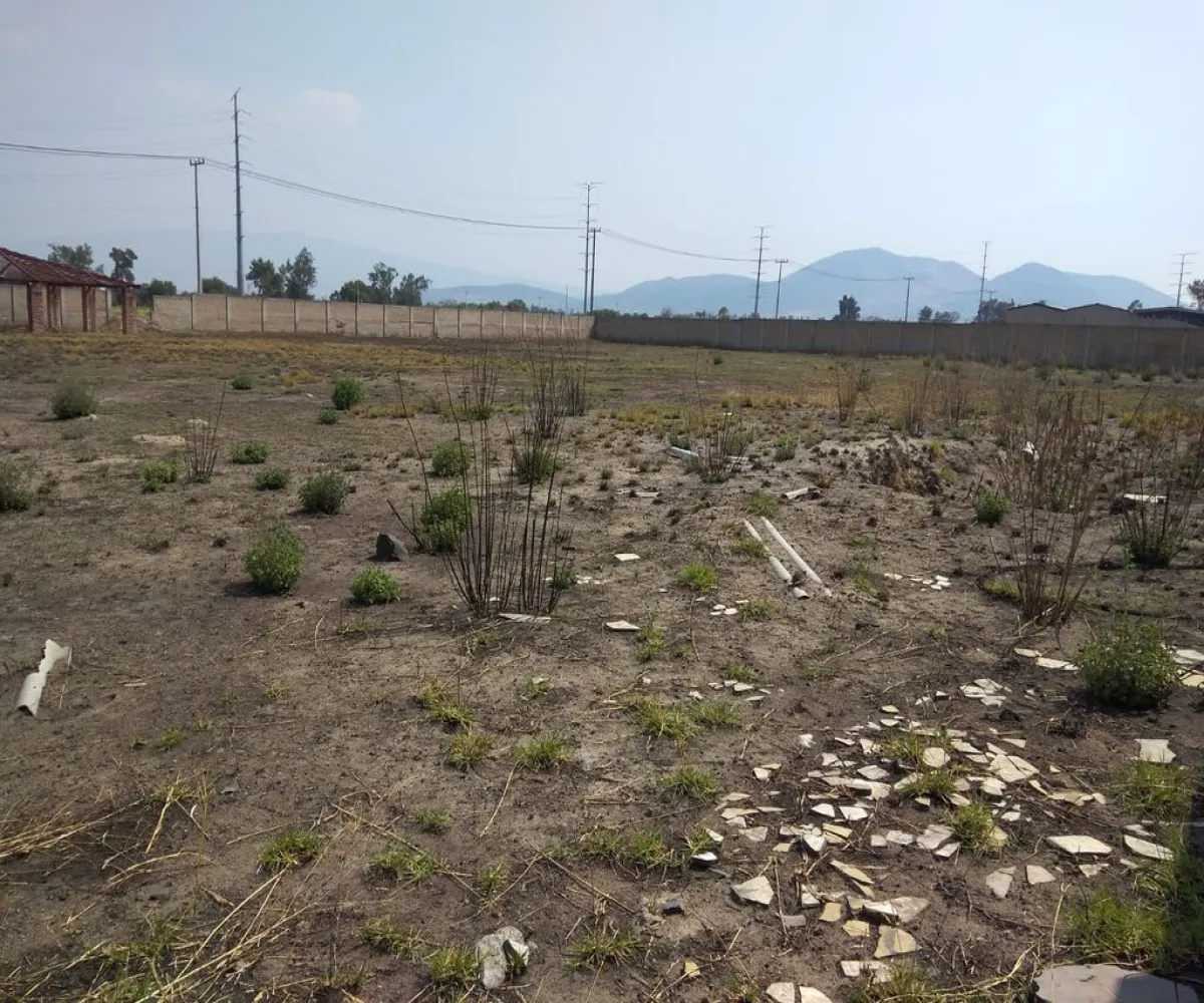 Terreno En Venta,Concepción del Valle,Fracción de la Parcela 22 P1/3 S/N, Tlajomulco de Zúñiga, Jalisco 45653,Fracción de la Parcela 22 P1/3,pmZvUEx