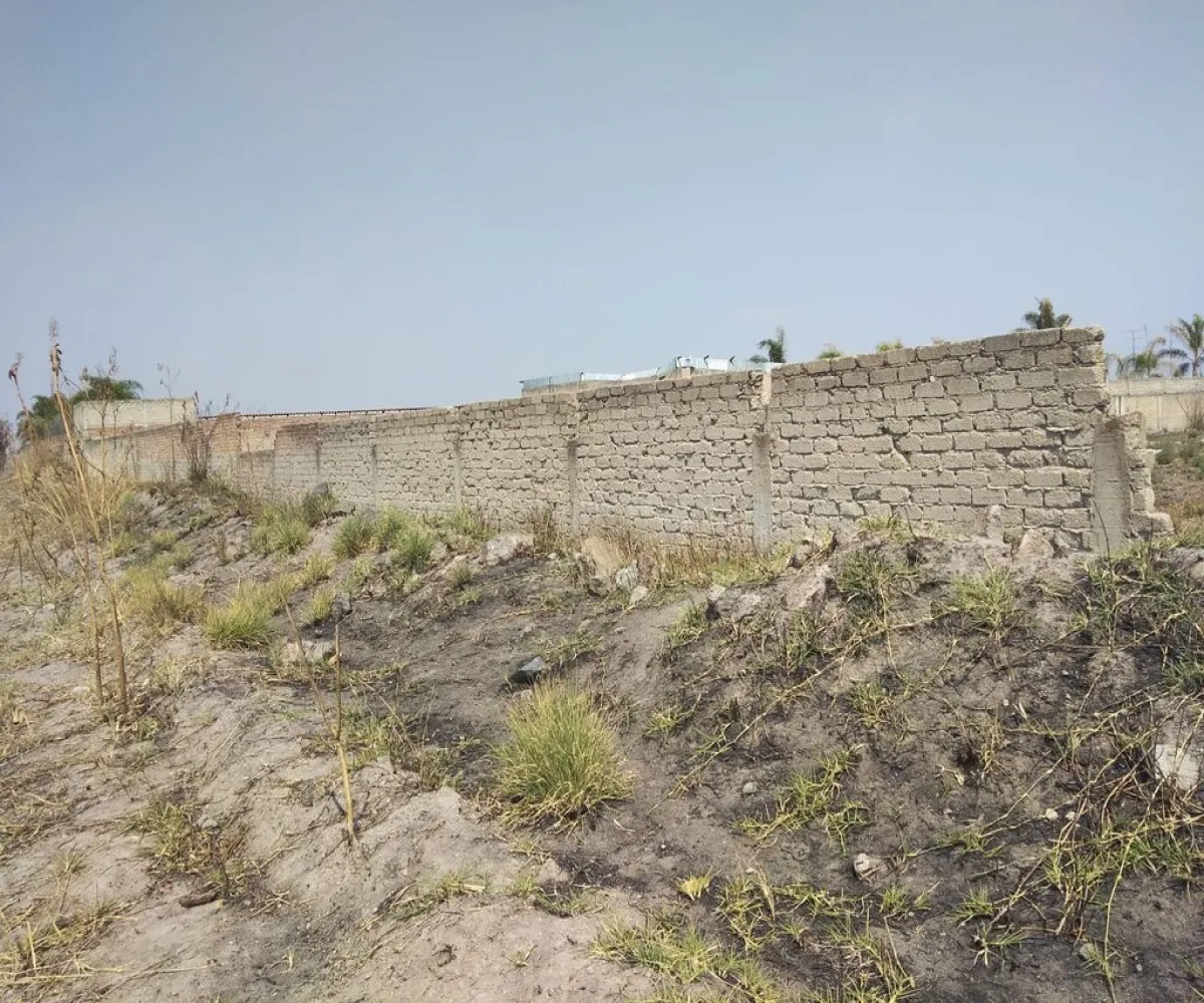 Terreno En Venta,Concepción del Valle,Fracción de la Parcela 22 P1/3 S/N, Tlajomulco de Zúñiga, Jalisco 45653,Fracción de la Parcela 22 P1/3,pmZvUEx