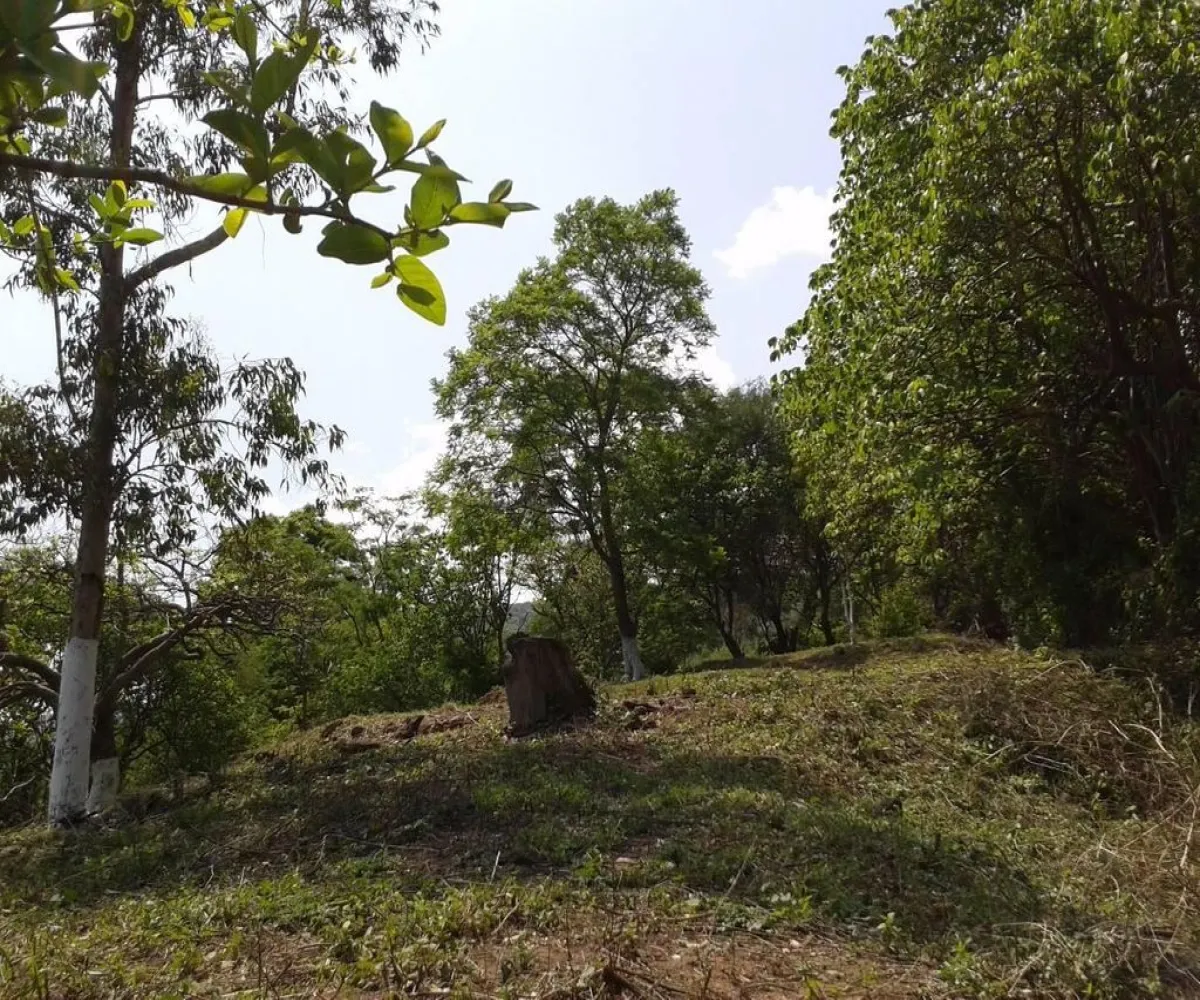 Terreno En Venta,Etzatlán Centro,0 S/N, Etzatlán, Jalisco 46507,ppJjdDF