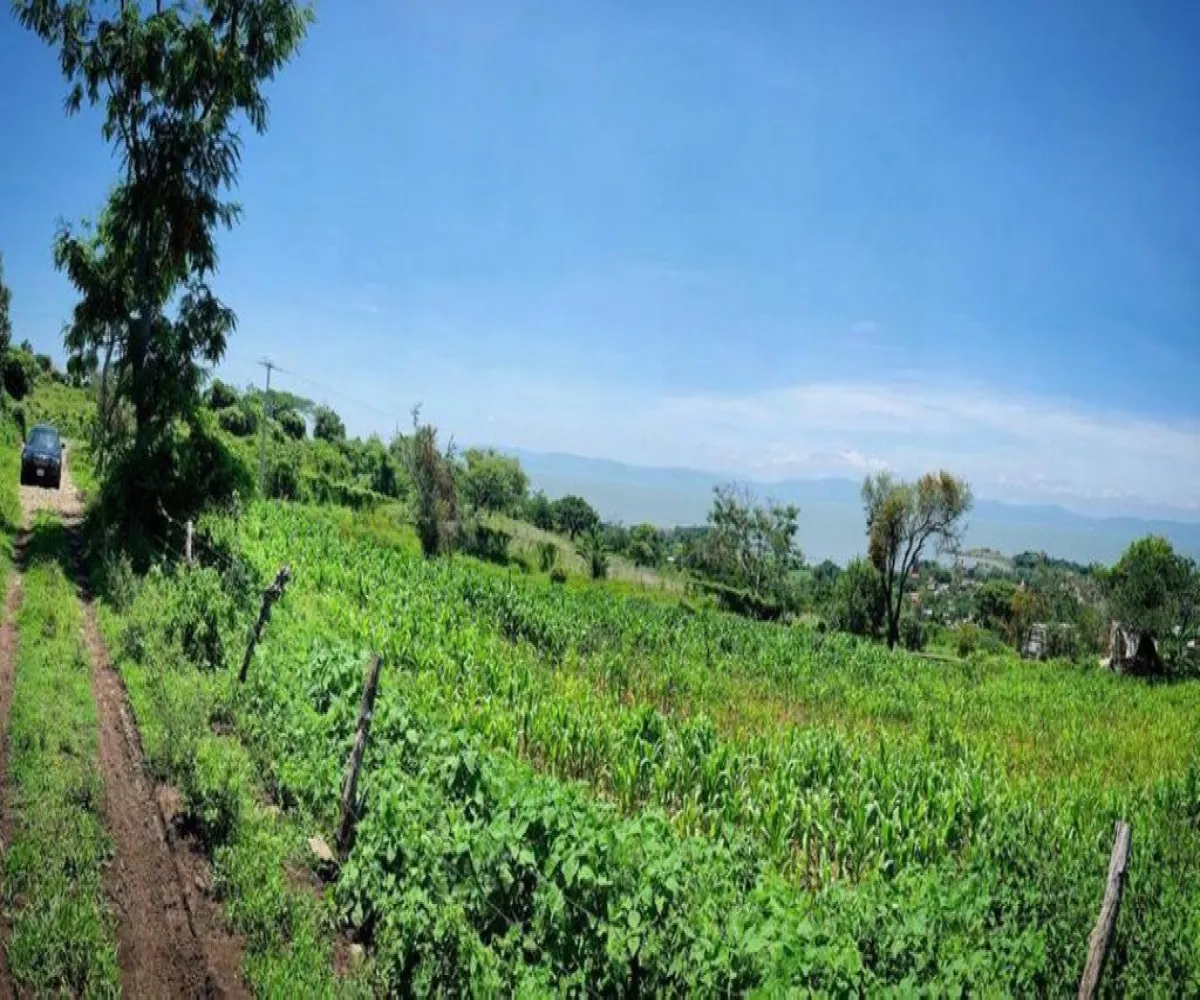 Terreno En Venta,Los Galápagos,Carretera mezcala S/N, Chapala, Jalisco 45943,Carretera mezcala,ppjJvxK