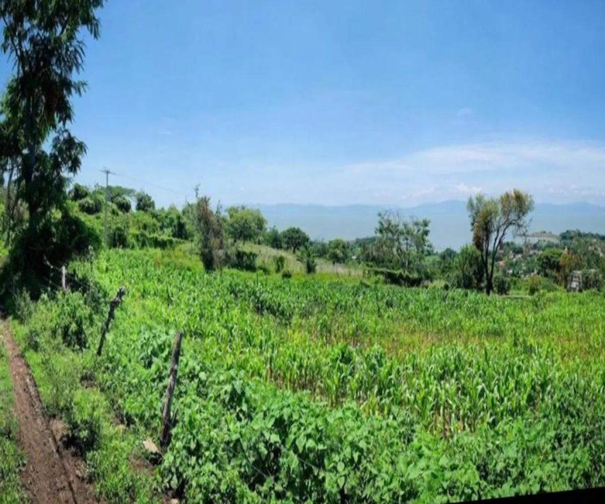 Terreno En Venta,Los Galápagos,Carretera mezcala S/N, Chapala, Jalisco 45943,Carretera mezcala,ppjJvxK