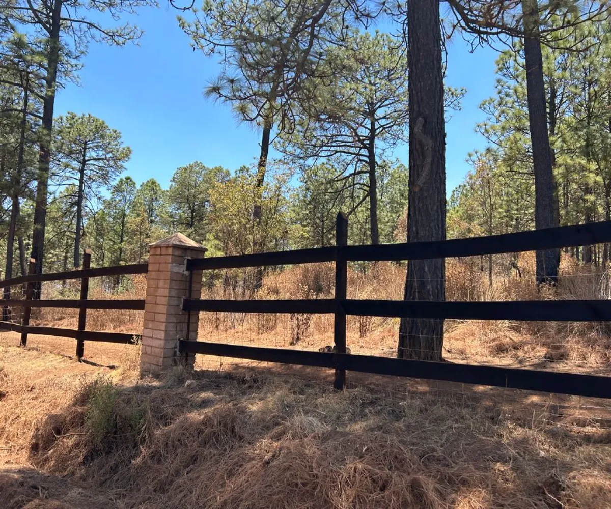 Terreno En Venta,Los Espinos,los espinos S/N, Tapalpa, Jalisco 49346,los espinos,pq1o8qC Terreno En Venta,Los Espinos,los espinos S/N, Tapalpa, Jalisco 49346,los espinos,pq1o8qC