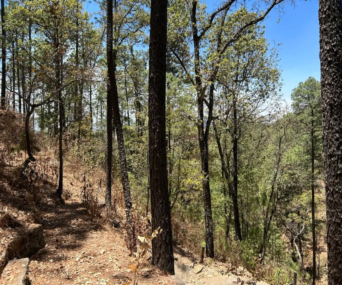Terreno En Venta,Los Espinos,los espinos S/N, Tapalpa, Jalisco 49346,los espinos,pq1o8qC Terreno En Venta,Los Espinos,los espinos S/N, Tapalpa, Jalisco 49346,los espinos,pq1o8qC