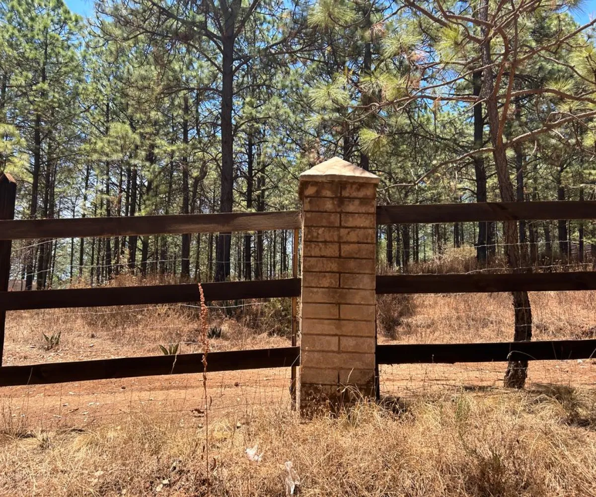 Terreno En Venta,Los Espinos,los espinos S/N, Tapalpa, Jalisco 49346,los espinos,pq1o8qC Terreno En Venta,Los Espinos,los espinos S/N, Tapalpa, Jalisco 49346,los espinos,pq1o8qC