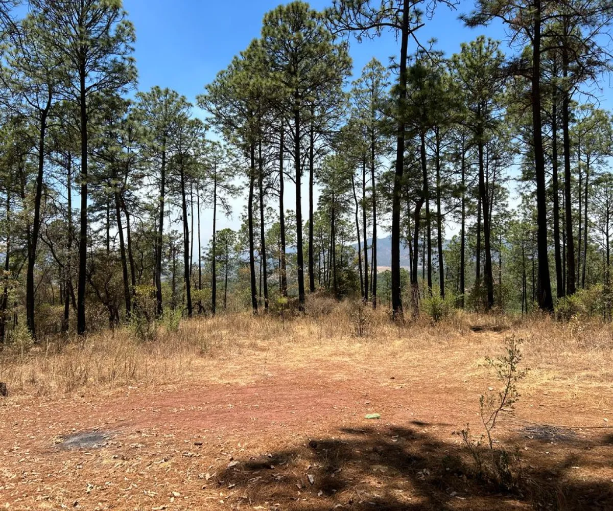 Terreno En Venta,Los Espinos,los espinos S/N, Tapalpa, Jalisco 49346,los espinos,pq1o8qC Terreno En Venta,Los Espinos,los espinos S/N, Tapalpa, Jalisco 49346,los espinos,pq1o8qC
