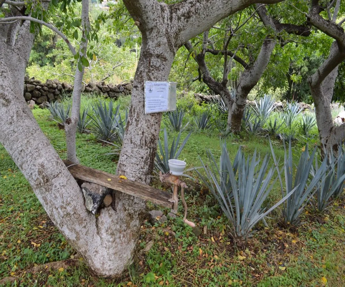 Casa En Venta,Teuchitlán,Juárez 227, Teuchitlán, Jalisco 46760, 4 Habitaciones,3 Baños,Juárez ,1,pqan06N