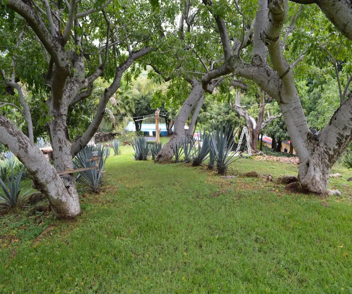 Casa En Venta,Teuchitlán,Juárez 227, Teuchitlán, Jalisco 46760, 4 Habitaciones,3 Baños,Juárez ,1,pqan06N