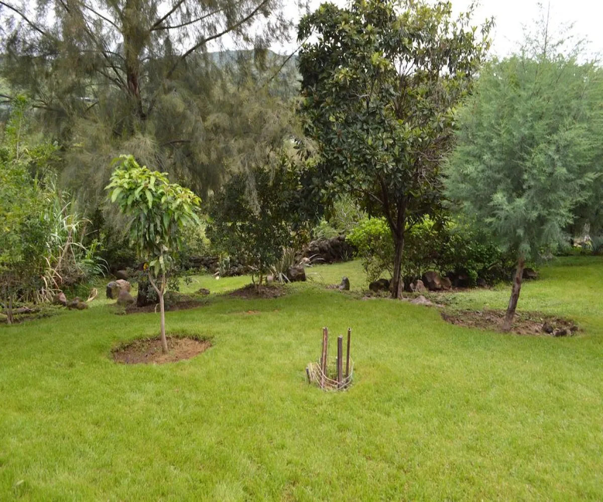 Casa En Venta,Teuchitlán,Juárez 227, Teuchitlán, Jalisco 46760, 4 Habitaciones,3 Baños,Juárez ,1,pqan06N