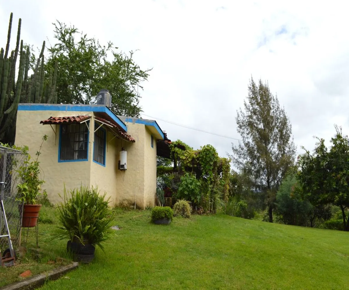 Casa En Venta,Teuchitlán,Juárez 227, Teuchitlán, Jalisco 46760, 4 Habitaciones,3 Baños,Juárez ,1,pqan06N