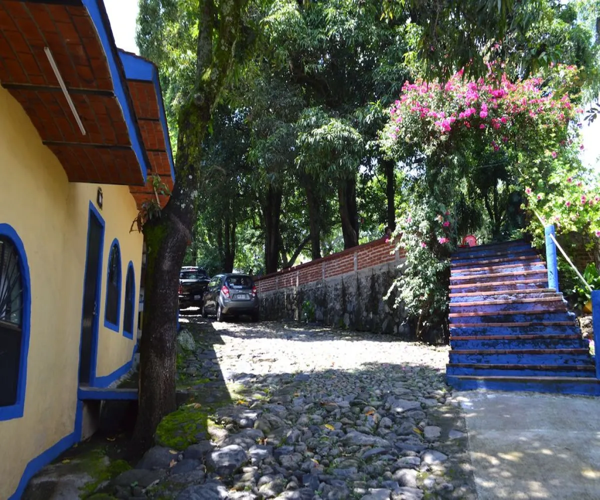 Casa En Venta,Teuchitlán,Juárez 227, Teuchitlán, Jalisco 46760, 4 Habitaciones,3 Baños,Juárez ,1,pqan06N