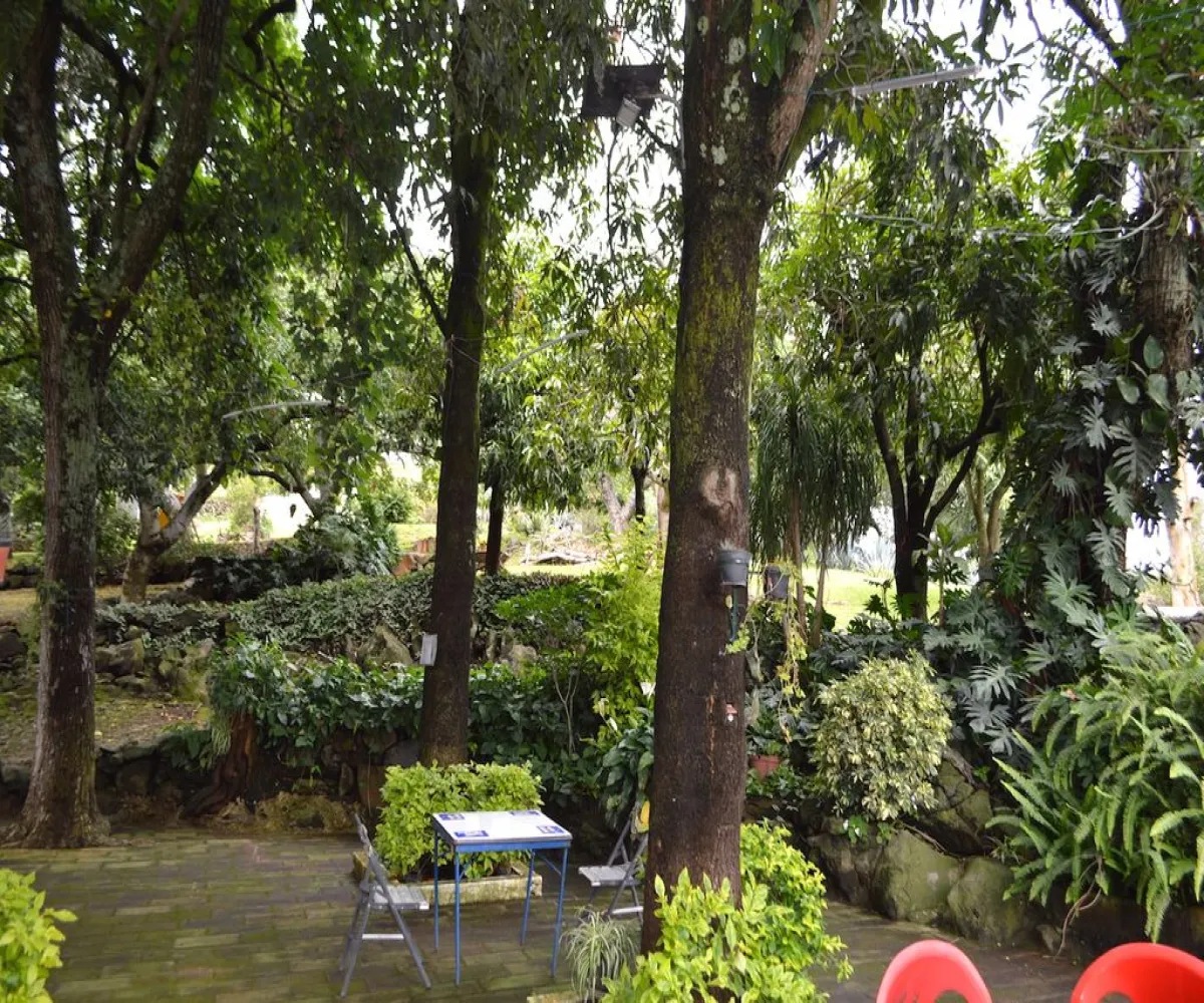 Casa En Venta,Teuchitlán,Juárez 227, Teuchitlán, Jalisco 46760, 4 Habitaciones,3 Baños,Juárez ,1,pqan06N