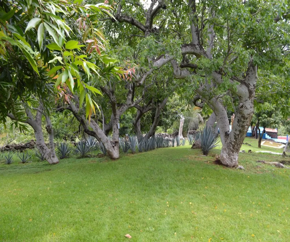 Casa En Venta,Teuchitlán,Juárez 227, Teuchitlán, Jalisco 46760, 4 Habitaciones,3 Baños,Juárez ,1,pqan06N