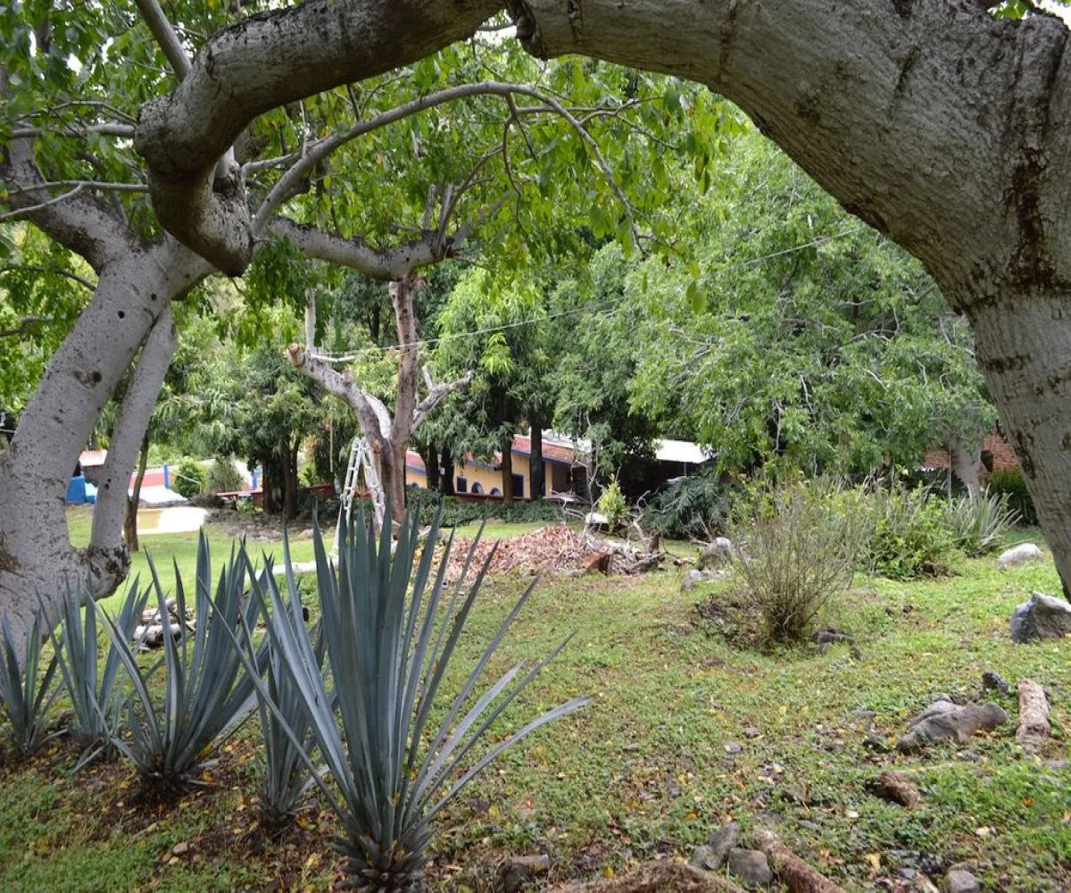 Casa En Venta,Teuchitlán,Juárez 227, Teuchitlán, Jalisco 46760, 4 Habitaciones,3 Baños,Juárez ,1,pqan06N