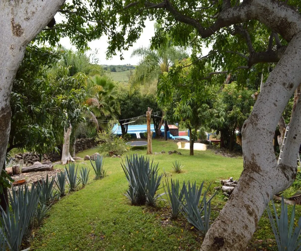 Casa En Venta,Teuchitlán,Juárez 227, Teuchitlán, Jalisco 46760, 4 Habitaciones,3 Baños,Juárez ,1,pqan06N