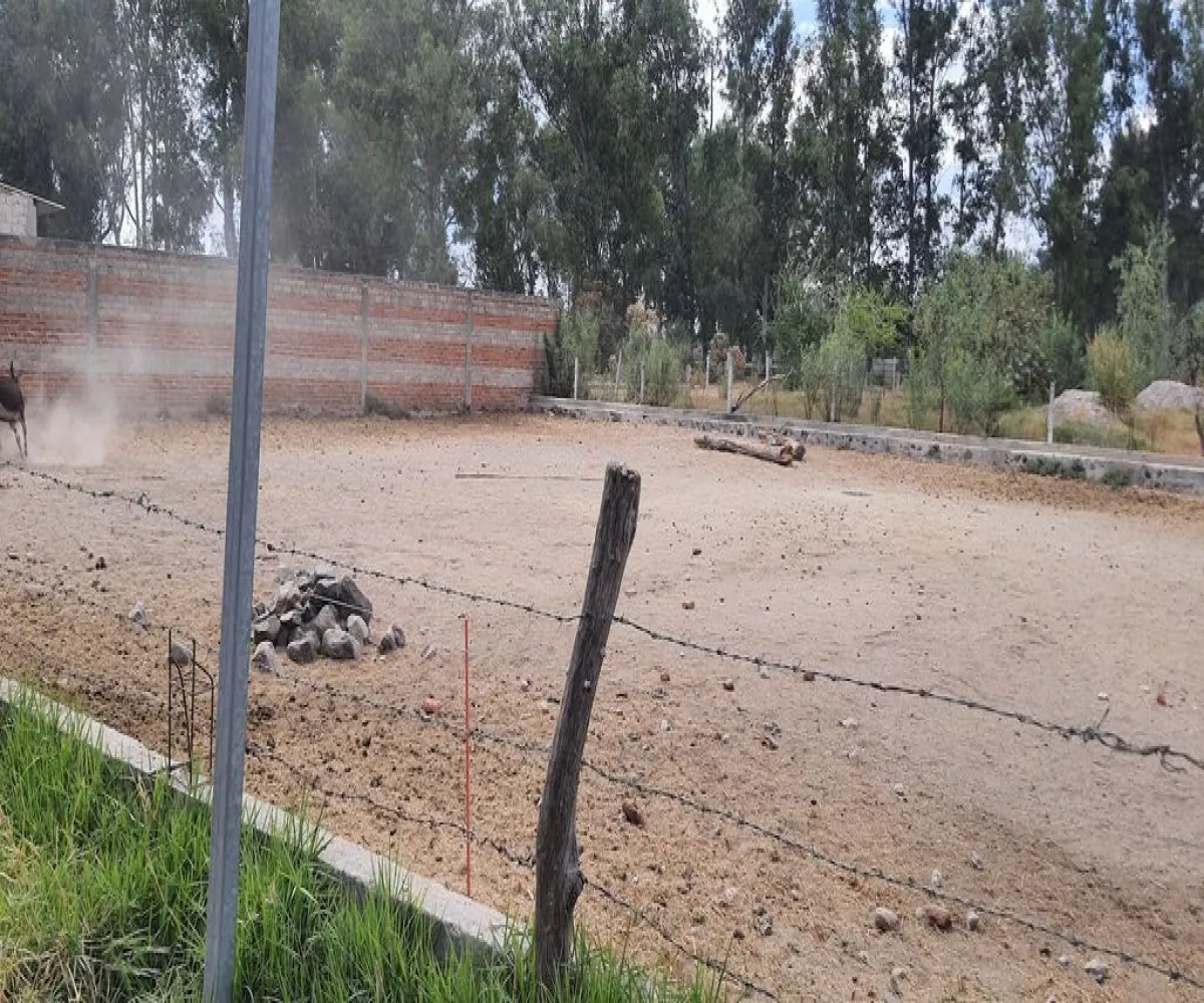 Terreno En Venta,San Isidro Mazatepec,Av. Hidalgo S/N, Tala, Jalisco 45340,Av. Hidalgo,pumev4t