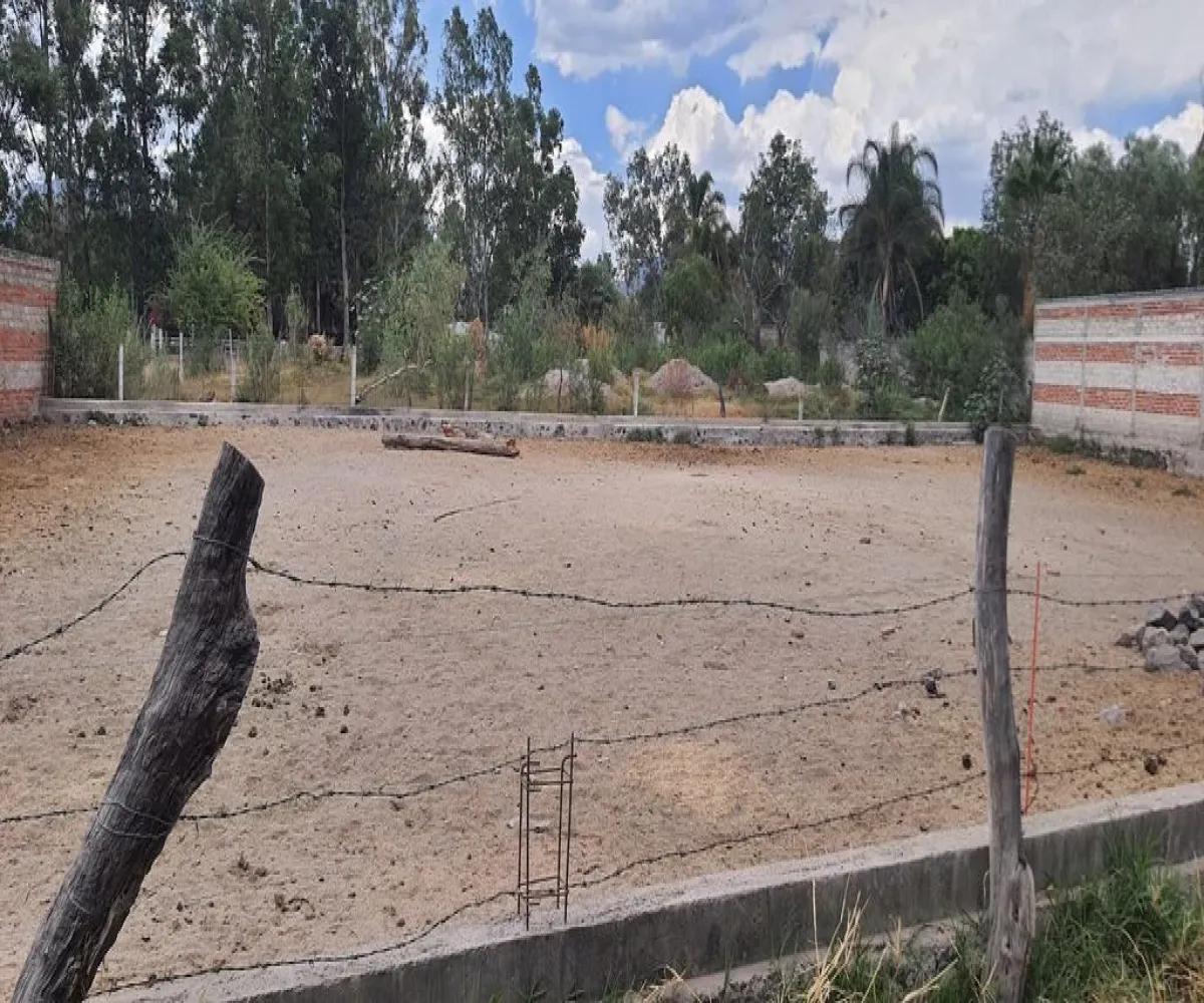 Terreno En Venta,San Isidro Mazatepec,Av. Hidalgo S/N, Tala, Jalisco 45340,Av. Hidalgo,pumev4t