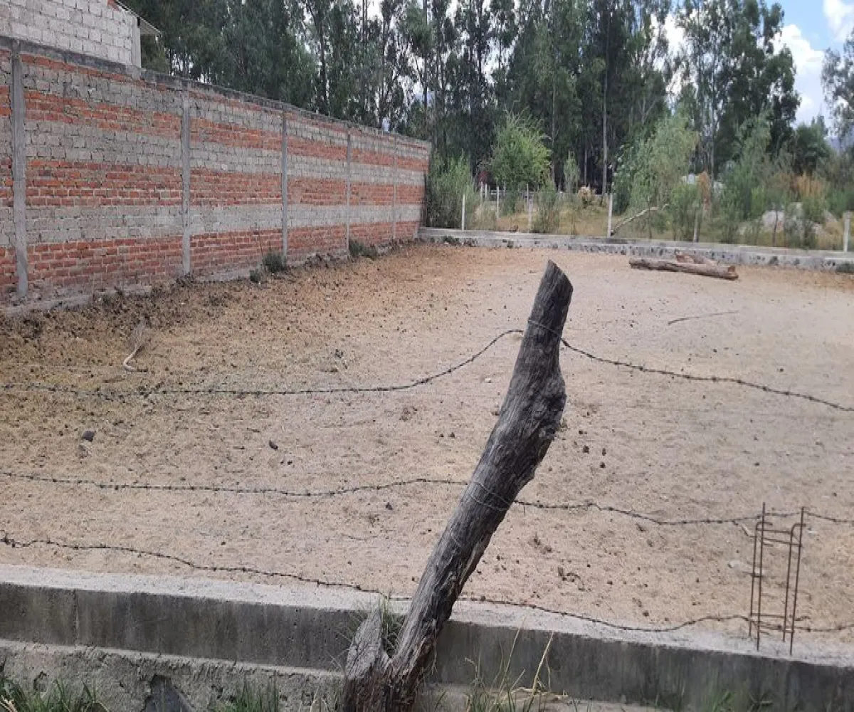 Terreno En Venta,San Isidro Mazatepec,Av. Hidalgo S/N, Tala, Jalisco 45340,Av. Hidalgo,pumev4t