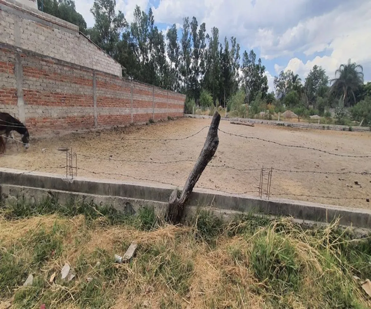 Terreno En Venta,San Isidro Mazatepec,Av. Hidalgo S/N, Tala, Jalisco 45340,Av. Hidalgo,pumev4t