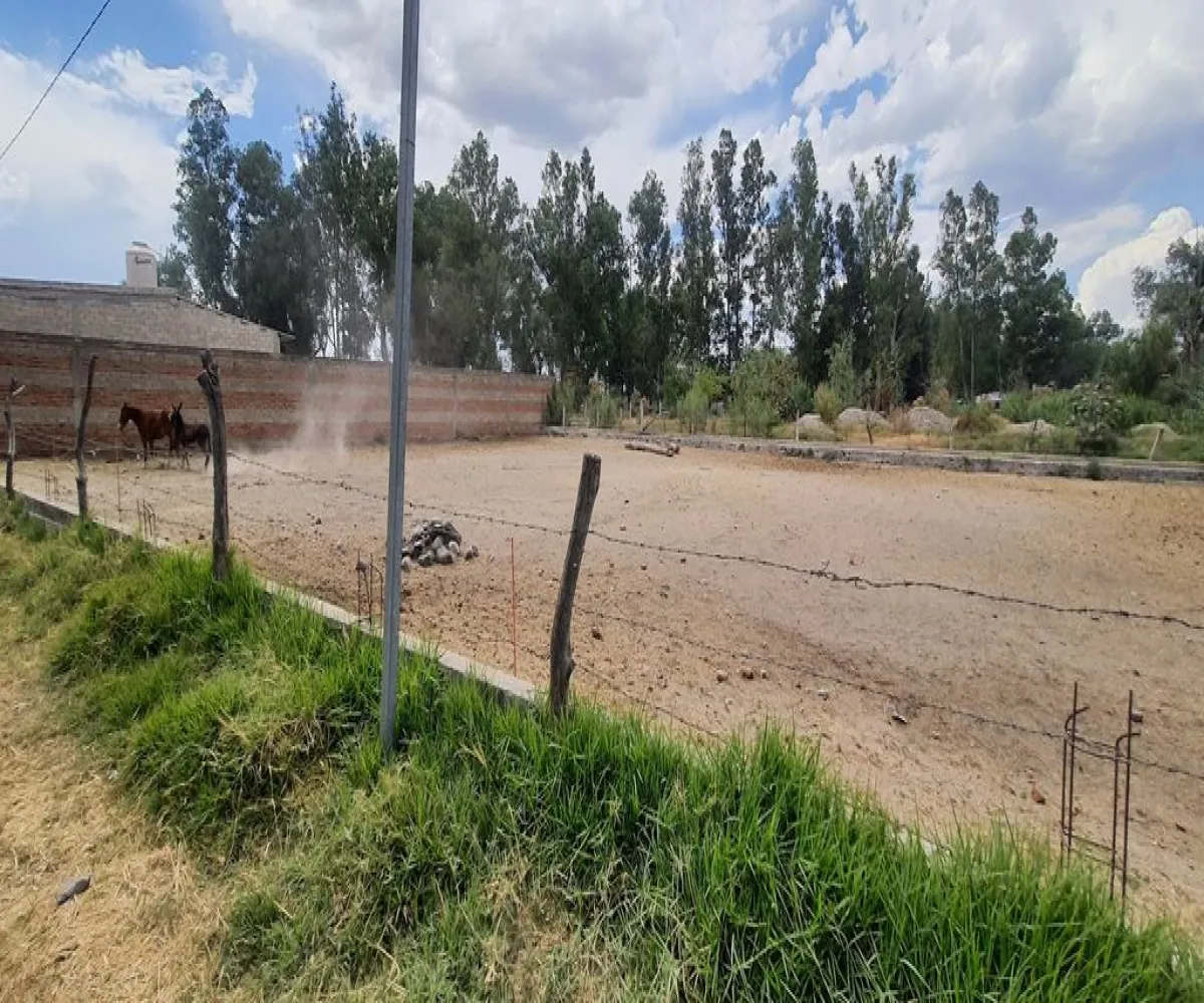 Terreno En Venta,San Isidro Mazatepec,Av. Hidalgo S/N, Tala, Jalisco 45340,Av. Hidalgo,pumev4t