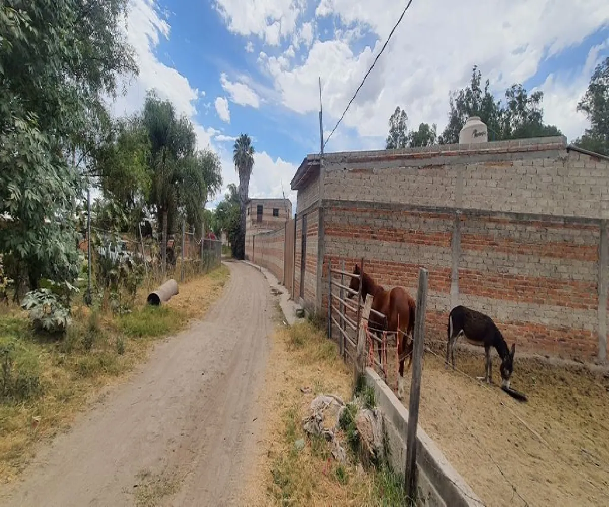 Terreno En Venta,San Isidro Mazatepec,Av. Hidalgo S/N, Tala, Jalisco 45340,Av. Hidalgo,pumev4t