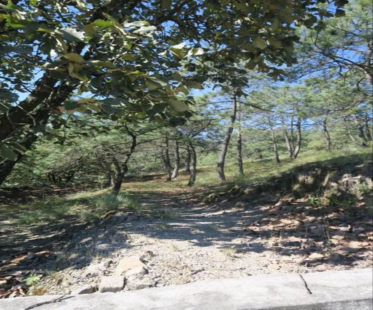 Terreno En Venta,Bosques de la Primavera,Autodromo Jalisco S/N, Zapopan, Jalisco 45225,Autodromo Jalisco,pwtRs6F