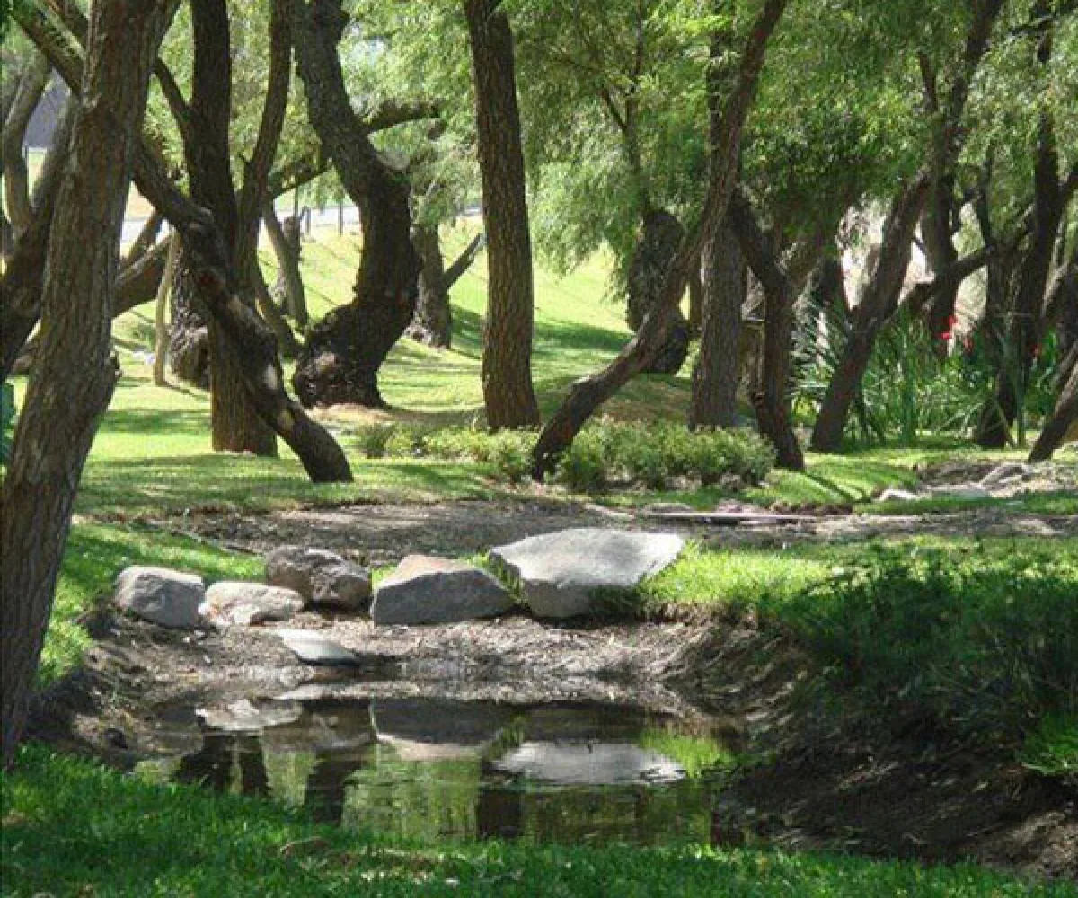 Senderos de Monte Verde,Tlajomulco de Zúñiga, Jalisco 45646,1026 Senderos de Monte Verde,Tlajomulco de Zúñiga, Jalisco 45646,1026