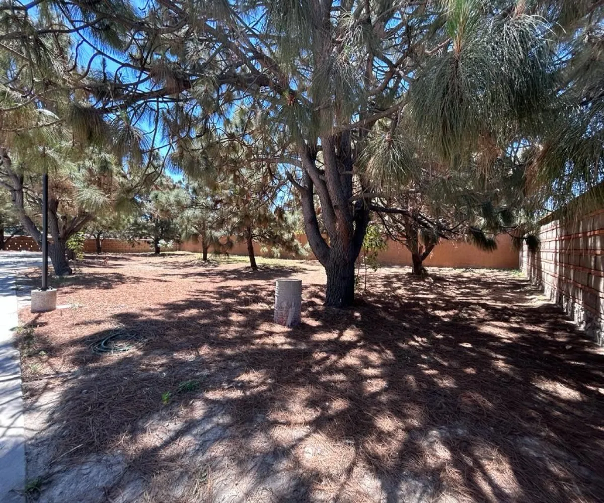 Terreno En Venta,La Mojonera,Av Ramon Corona 2500, Zapopan, Jalisco 45019,Av Ramon Corona,pWPoxq1