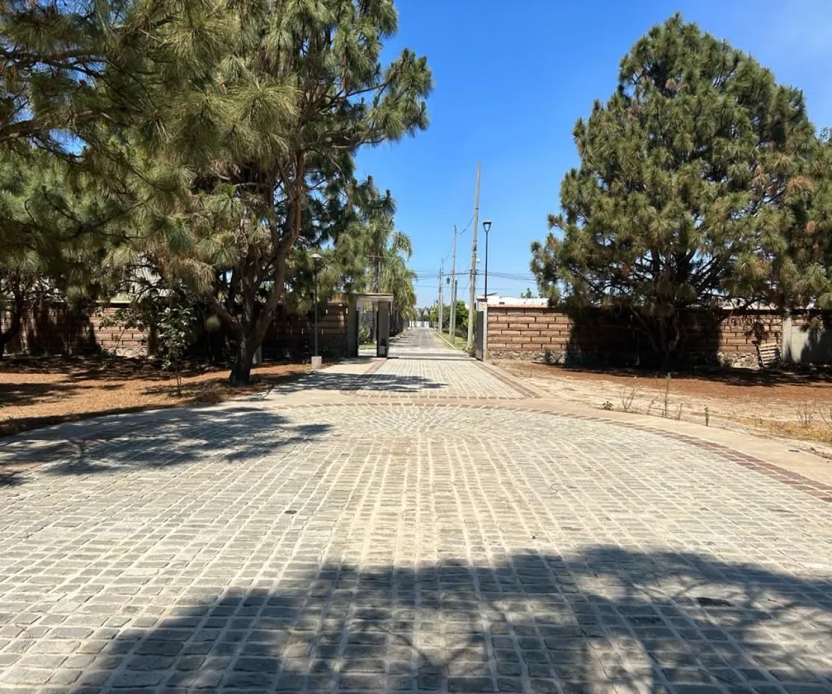 Terreno En Venta,La Mojonera,Av Ramon Corona 2500, Zapopan, Jalisco 45019,Av Ramon Corona,pWPoxq1