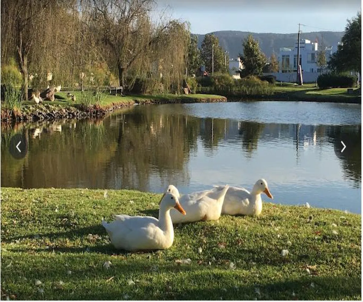 La Venta Del Astillero,Zapopan, Jalisco 45221,1029 La Venta Del Astillero,Zapopan, Jalisco 45221,1029
