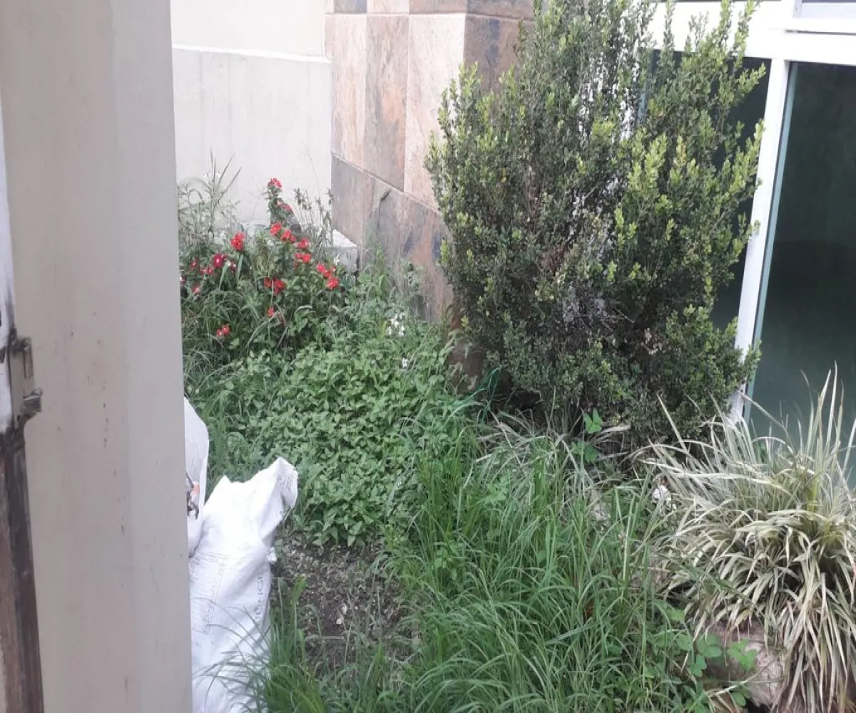 Casa En Venta,Las Águilas,Las Aguilas S/N, Zapopan, Jalisco 45080, 3 Habitaciones,1 Baño,Las Aguilas,1,pXMzwYi